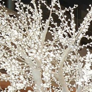 Meet your Posher, Lin